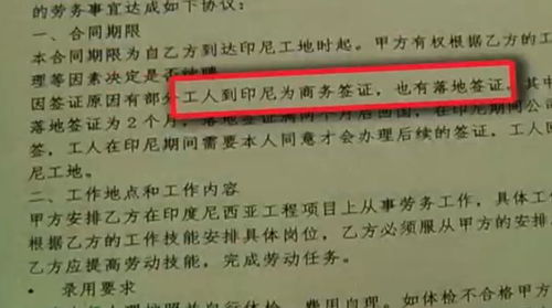 出国打工梦碎 签证问题与中介服务的警示